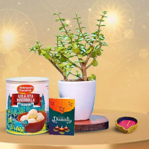 Diya, Rasgulla, Plant And Greetings