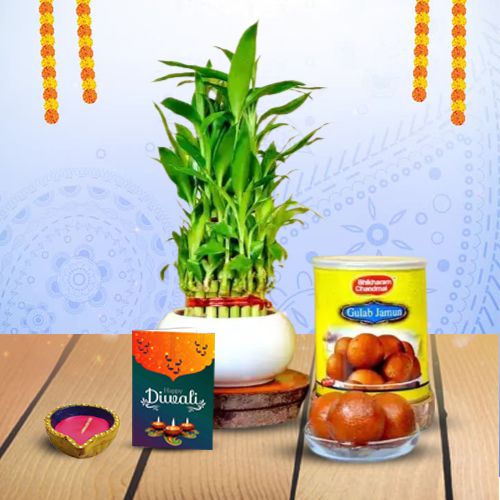 Lucky Bamboo, Gulab Jamun Extravaganza