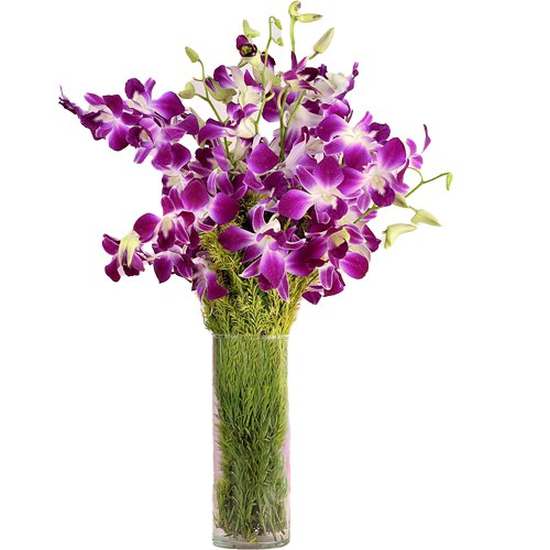 Tender Orchids Arranged in a Glass Vase