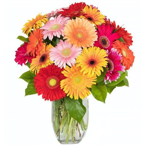 Arrangement of Assorted Gerberas in a Big Vase