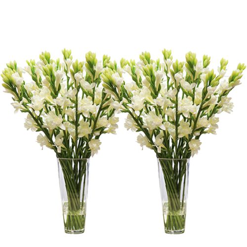 Circle of Life Tuberoses in Separate Vase