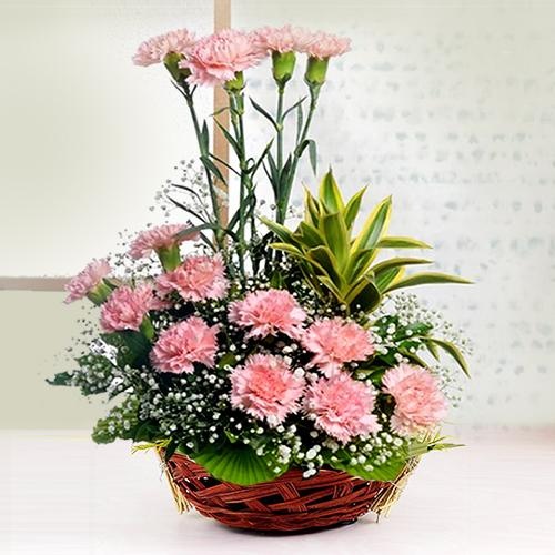 Amazing Basket of 12 Pink Carnations