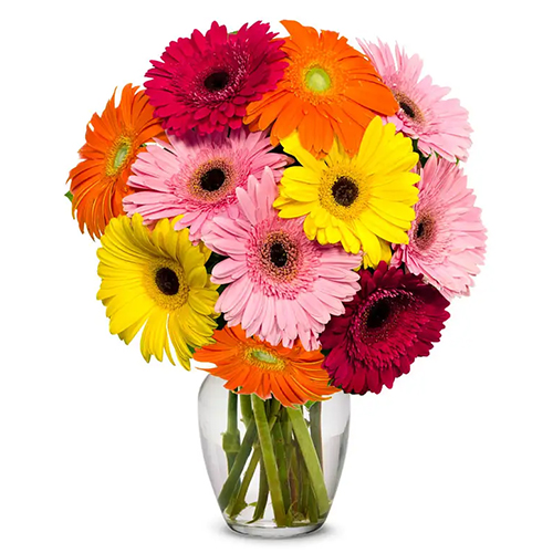 Arrangement of Gerberas in Glass Vase