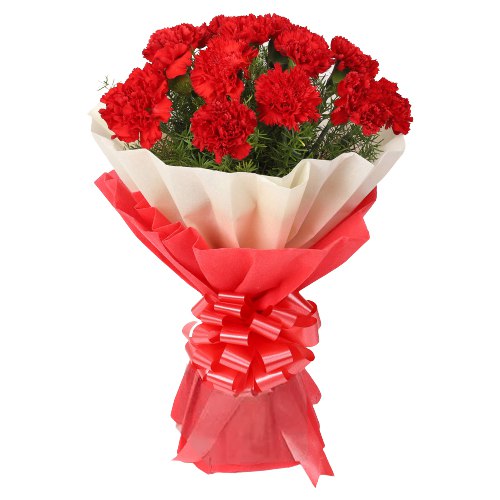 Stunning Red Carnations Bouquet