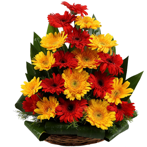 Special Red N Yellow Gerberas Arrangement