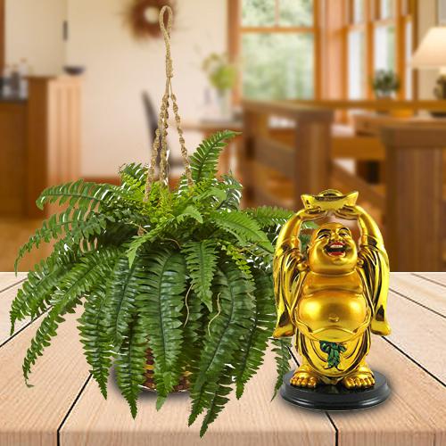 Elegant Selection of Hanging Bostern Fern with Buddha Idol