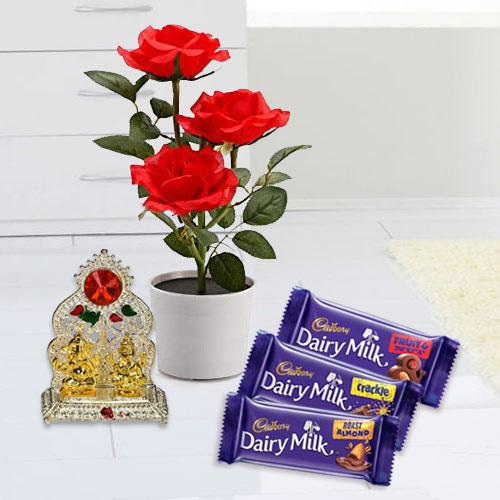 Captivating Potted Red Rose Plant with Chocolates N Mandap