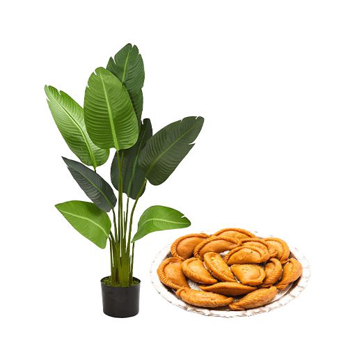 Eye-Catching Pair of Travellar Palm Plant N Khowa Puri Treat