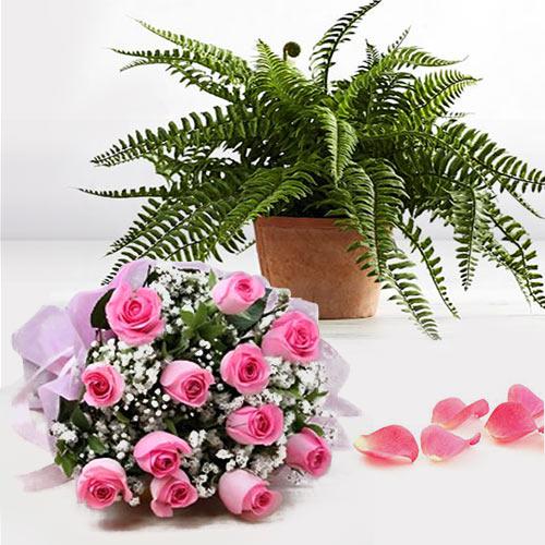 Beautiful Gift of Bostern Fern Plant N Pink Roses Arrangement