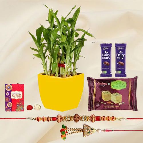 Attractive Bhaiya Bhabhi Rakhi N 2 Tier Bamboo Plant