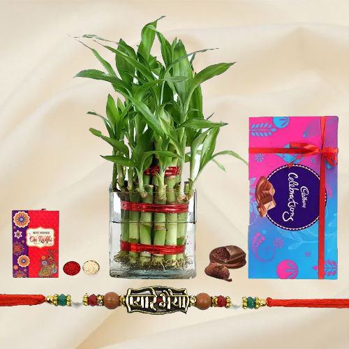 Fresh 2 Tier Bamboo Plant N Pyare Bhaiya Rakhi