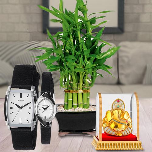 Stylish Sonata Analog Watch with Vignesh Ganesh N Lucky Bamboo Plant